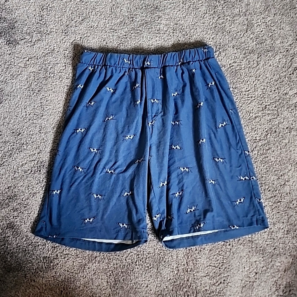 Men's Pajama Shorts